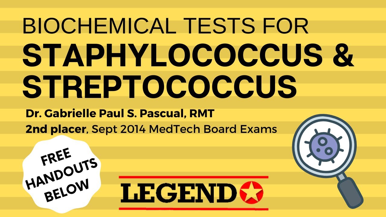 Biochemical Tests for Staphylococcus & Streptococcus | Legend Review Center