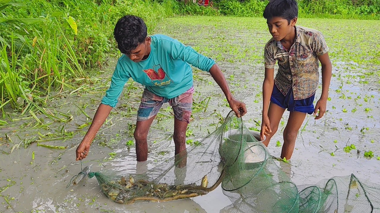 পাওয়ার টিলারের চাষ দেওয়া জমিতে চায়না জাল ভর্তি কৈ মাছ সাপ কুচিয়া শিং মাছে। fishing in rainy season