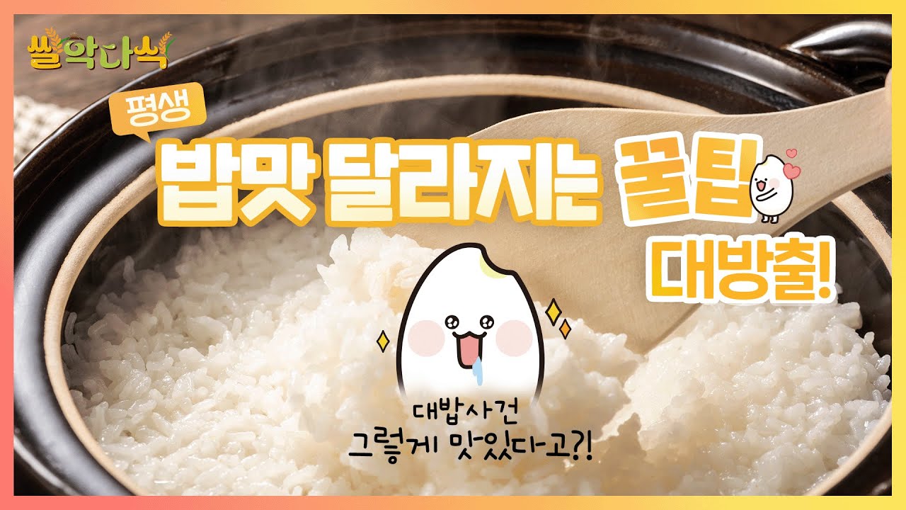 알면 인생 밥맛 달라짐✨쌀 고르기부터 쌀 씻기까지 꿀팁 총정리!🍚 | 🌾쌀팁공유