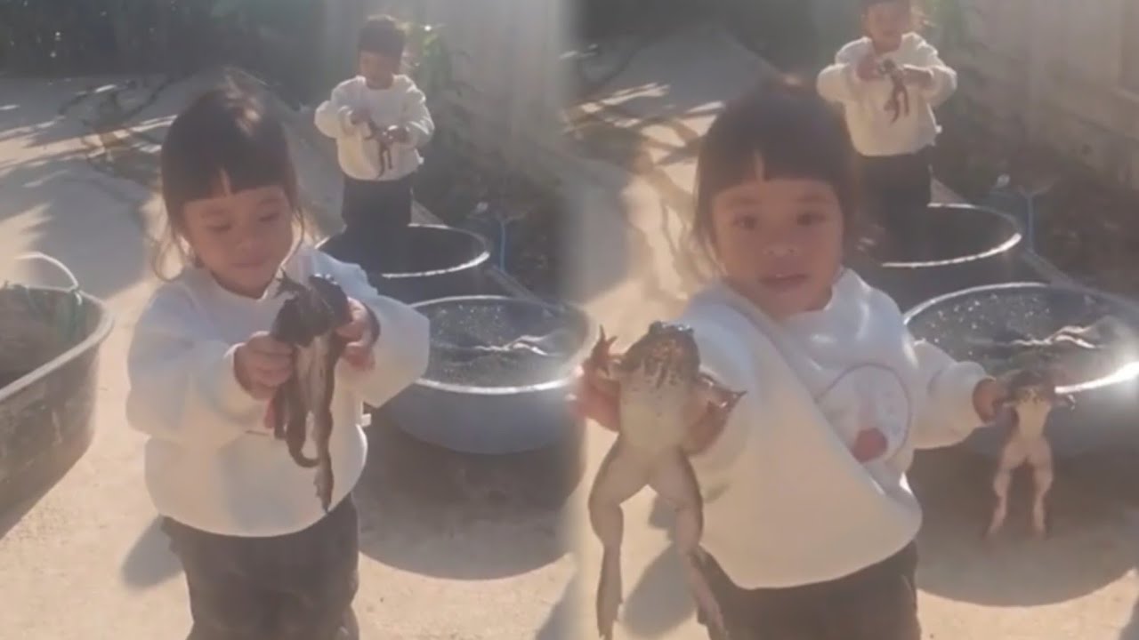 ไม่คิดว่าต้าวแฝดจะกล้าจับ 