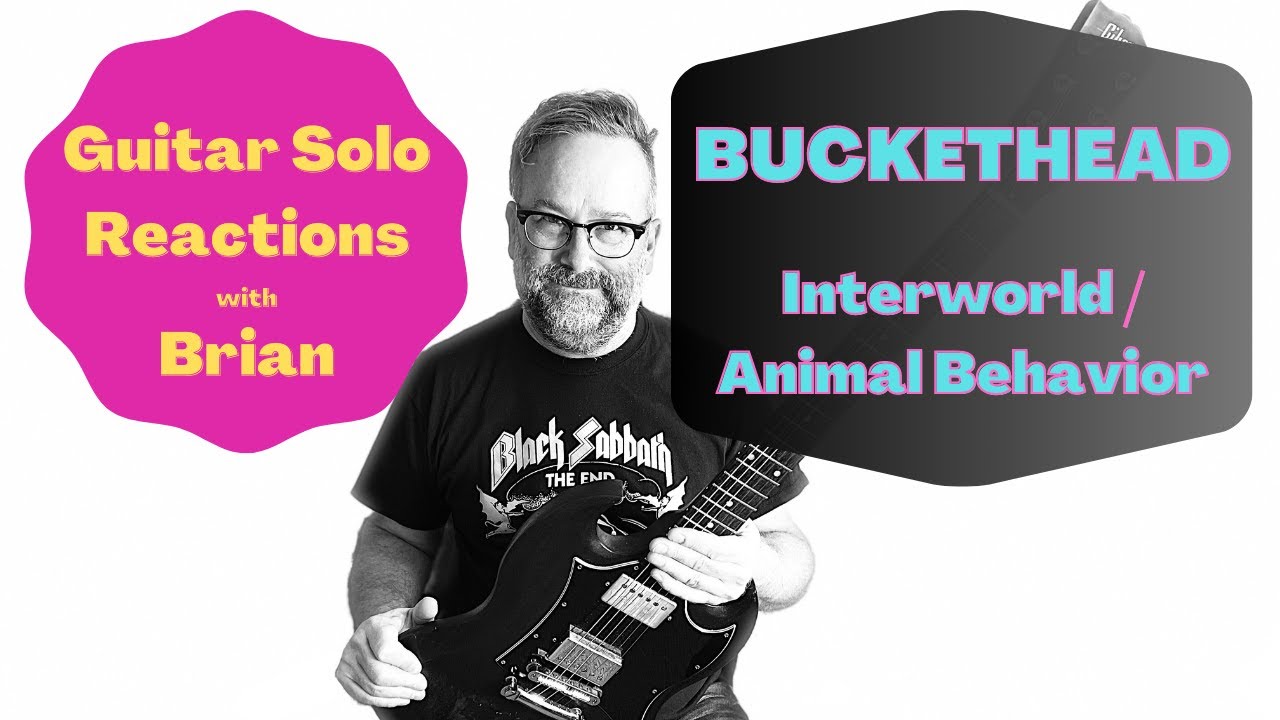 GUITAR SOLO REACTIONS ~ BUCKETHEAD ~ Interworld/Animal Behavior