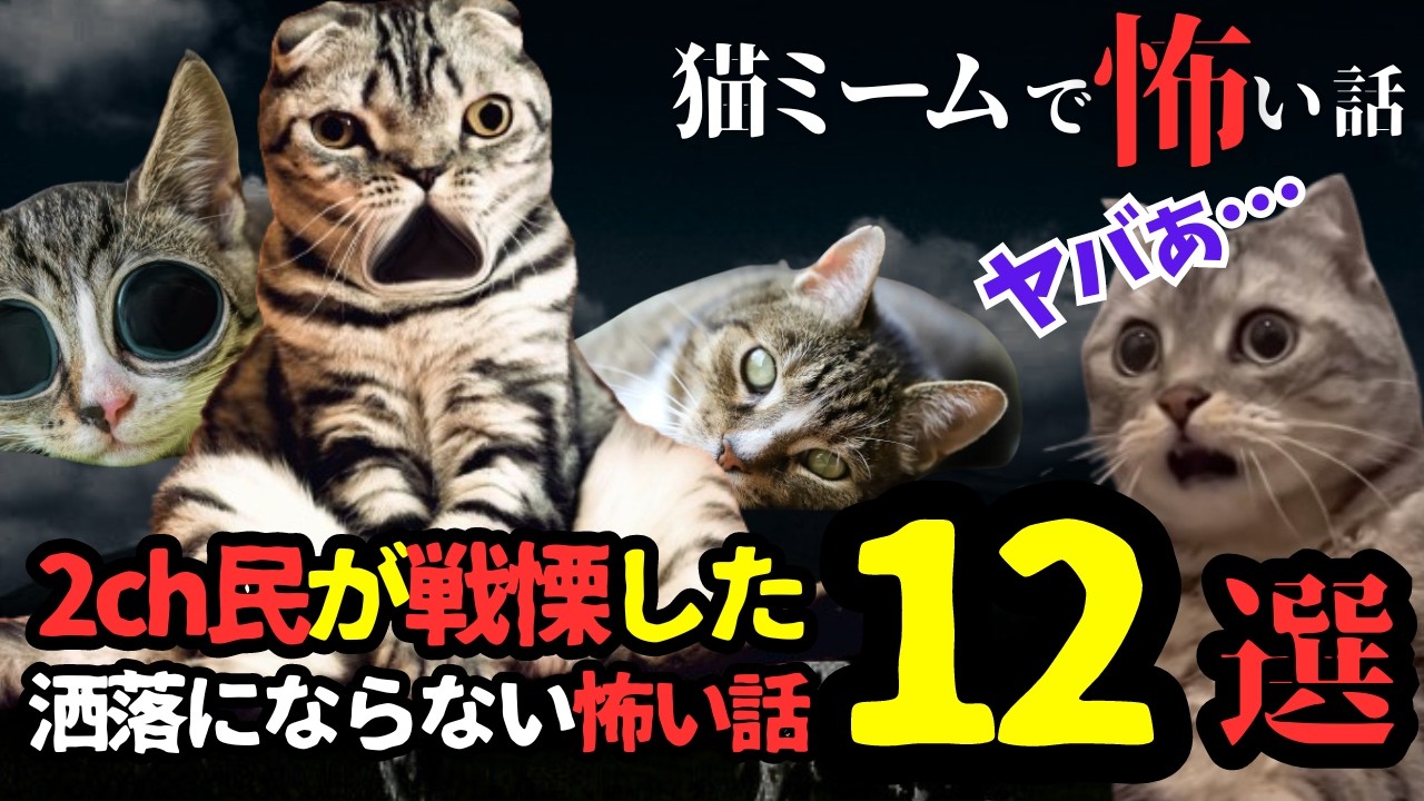【総集編】2ch民がマジでヤバいと恐怖した洒落怖 まとめ②【猫ミーム×ホラー】#猫マニ #怖い話 #体験談