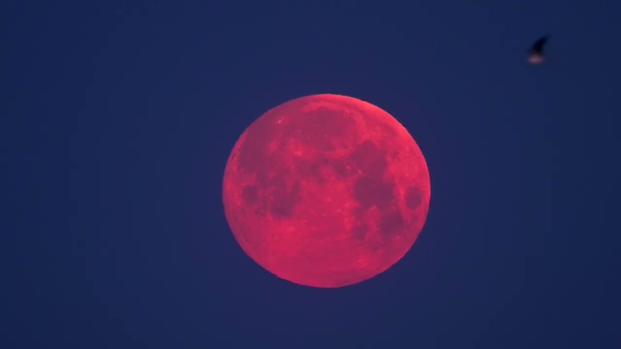🌕✨ Teljes holdfogyatkoz&aacute;s Magyarorsz&aacute;gon!