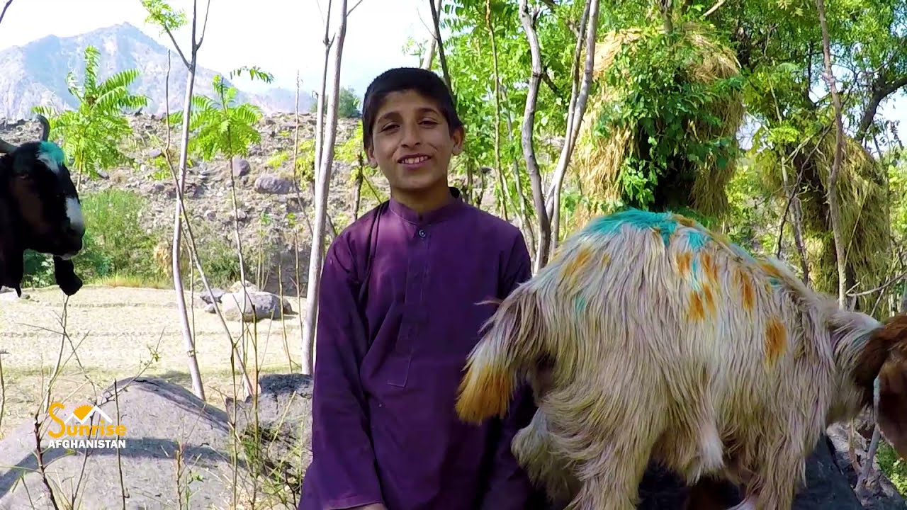 Rural life of afghanistan | Dara e noor | ننګرهار دره نور