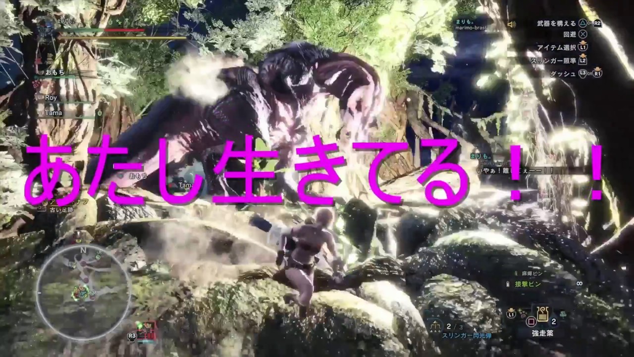 【MHW】#3 まりも。の のんびり狩り日和【裸でアンジャナフ】