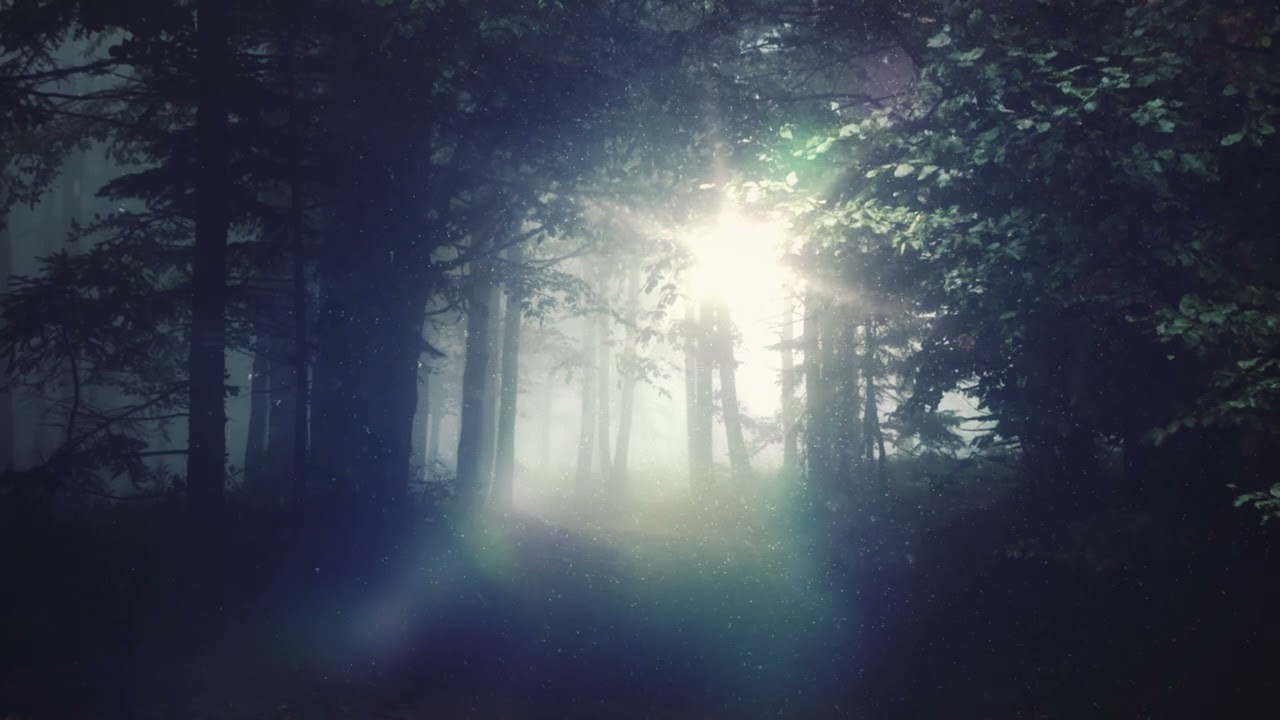 Motion Graphics Background Loop 4k - Background video animation - Quiet Forest 4k living background