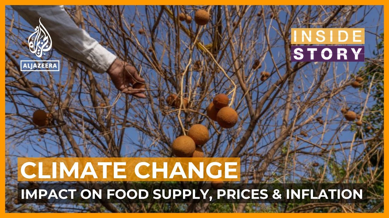 How is climate change affecting food prices and inflation? | Inside Story