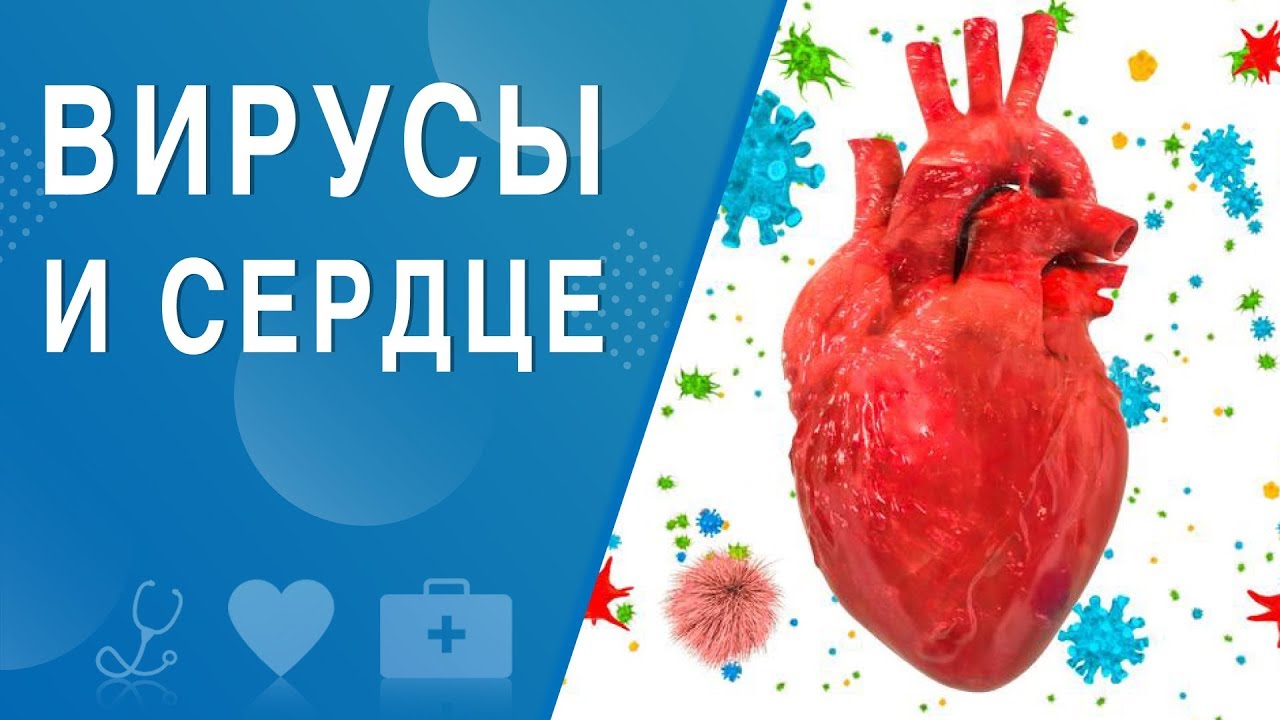 Вирусы и сердце. На здоровье 07.03.2020