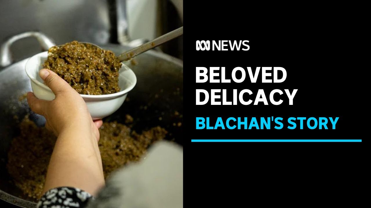 The story of the travelling recipe: Blachan l ABC News