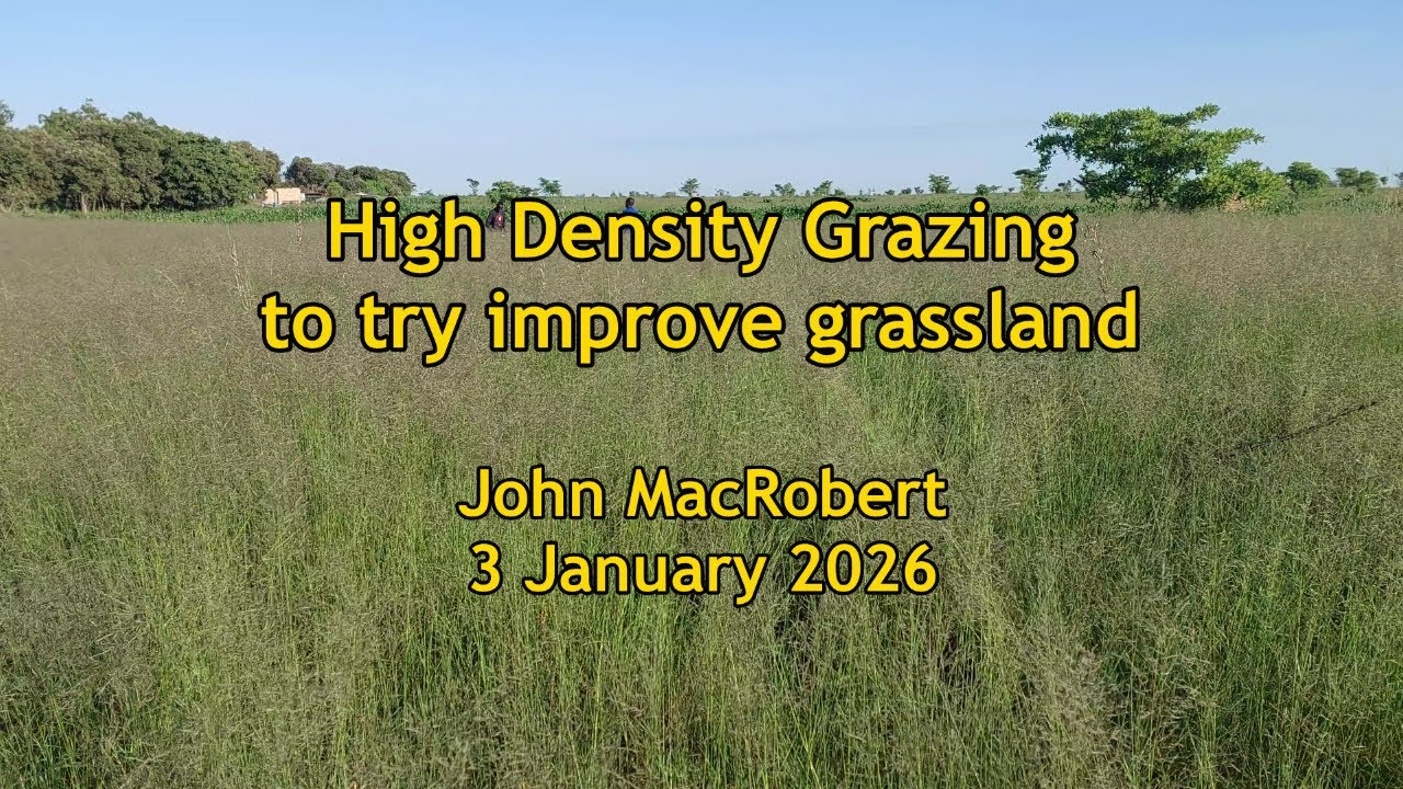 High Density Grazing to improve grassland