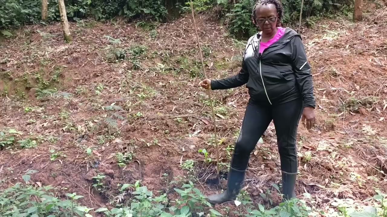 Memories from my childhood