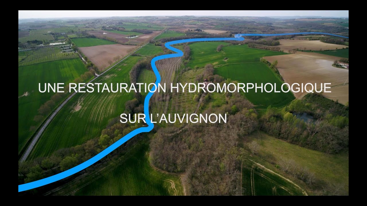 Restauration hydromorphologique dela rivière Auvignon