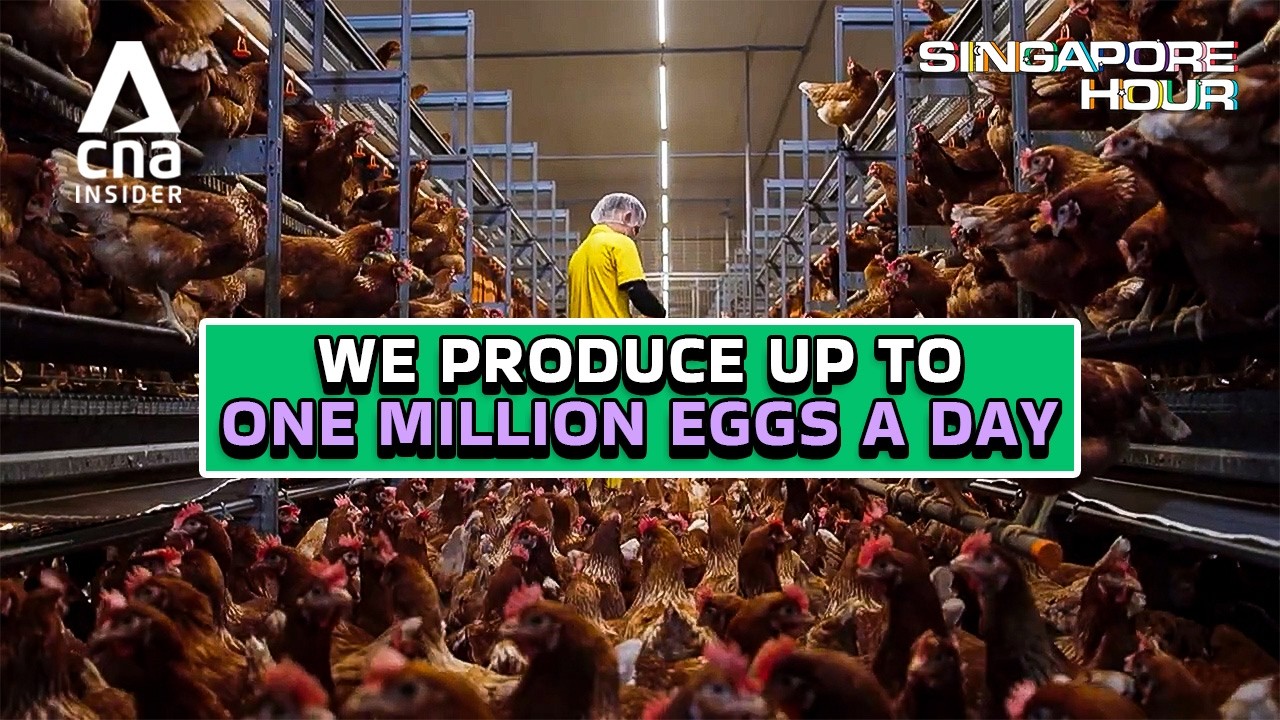 Inside Two Of The Biggest Farms In Singapore | Singapore Hour