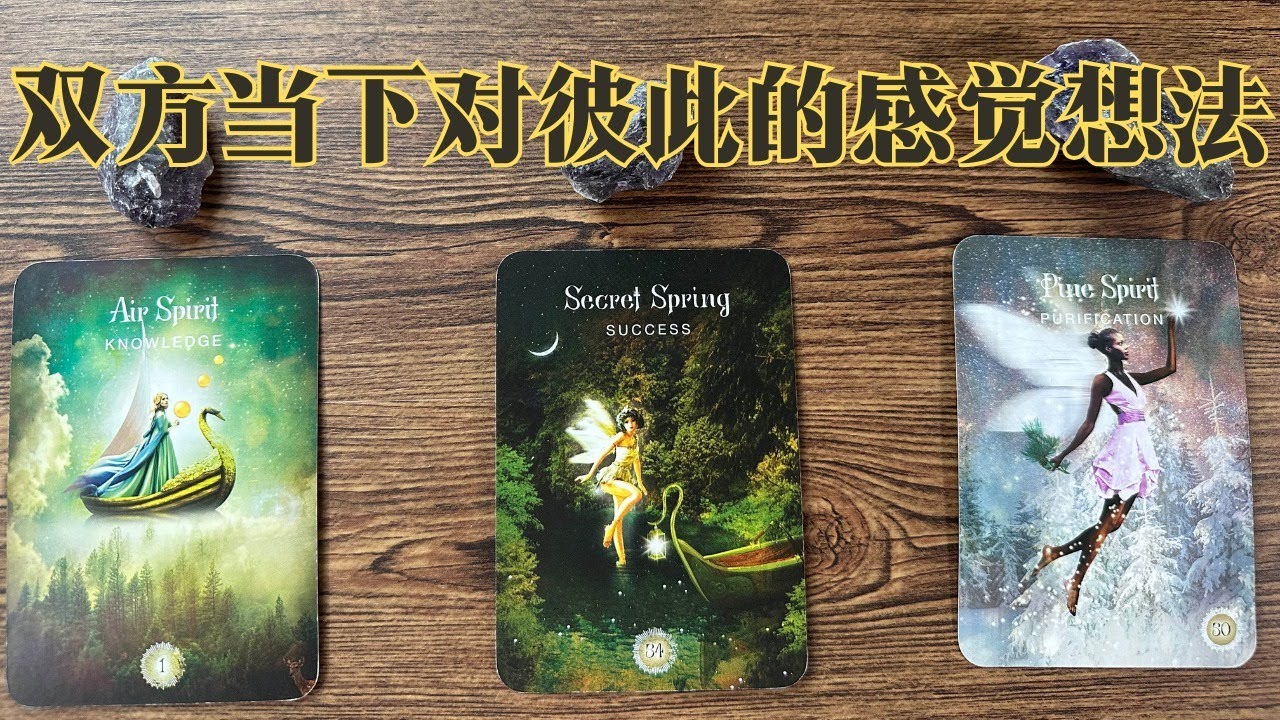双方当下对彼此的感觉想法🌛🌜你们的关系模式/他想对你说的话/下一步的发展？✨关系能量检测#感情关系/暧昧/暗恋🍭🍭#占卜#塔罗#爱情#Hazel 海瑟塔罗❤️彼此心理活动(Timeless) 更正版