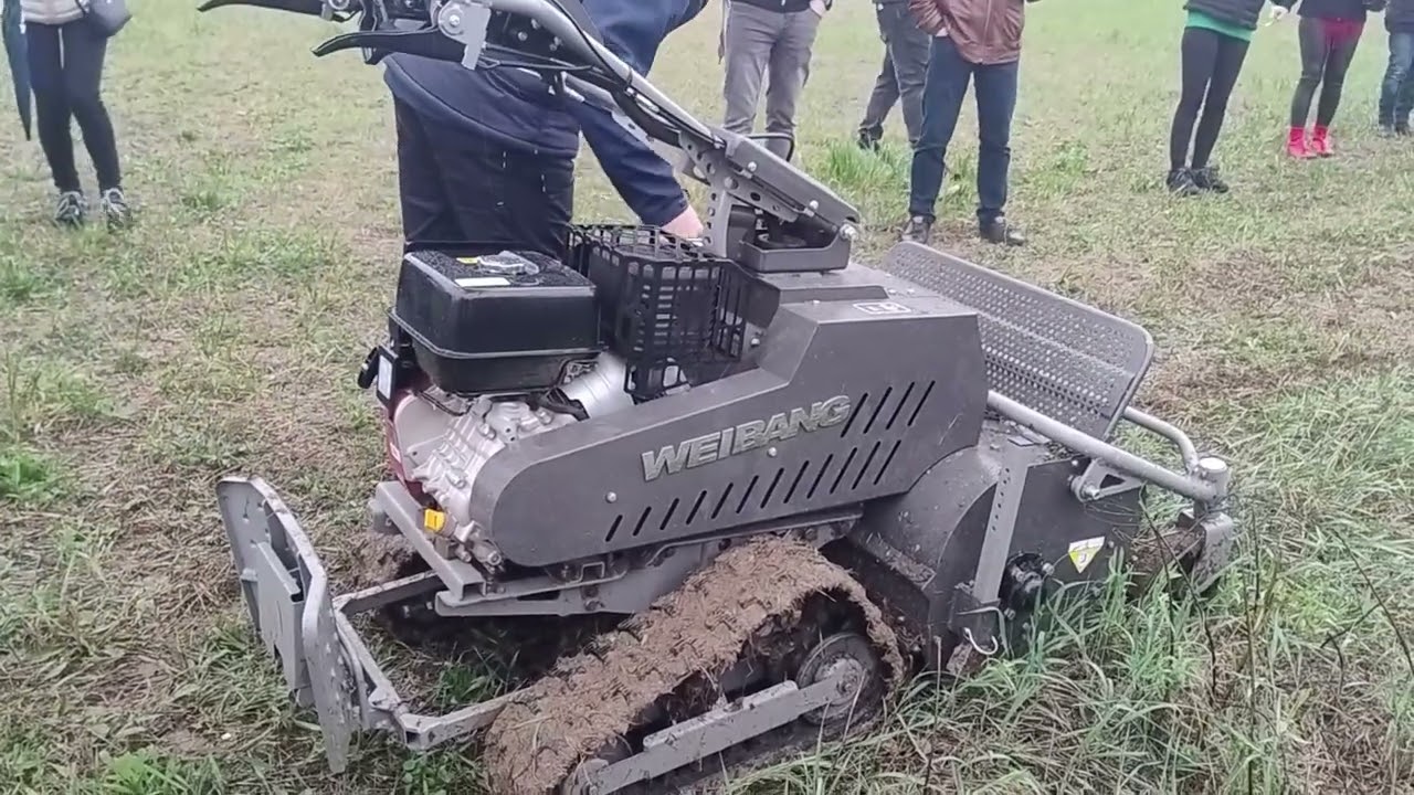 Weibang WBGT6813 TE