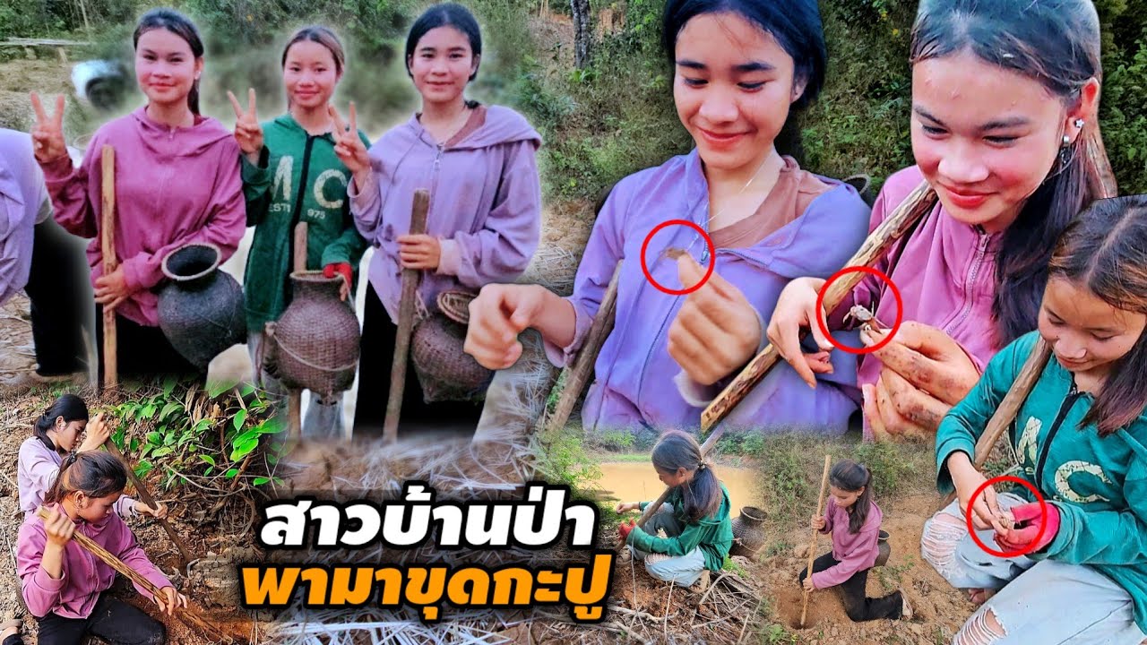 งานนี้สามเสาพระบุกป่า 28 กุมภาพันธ์ ค.ศ. 2026
