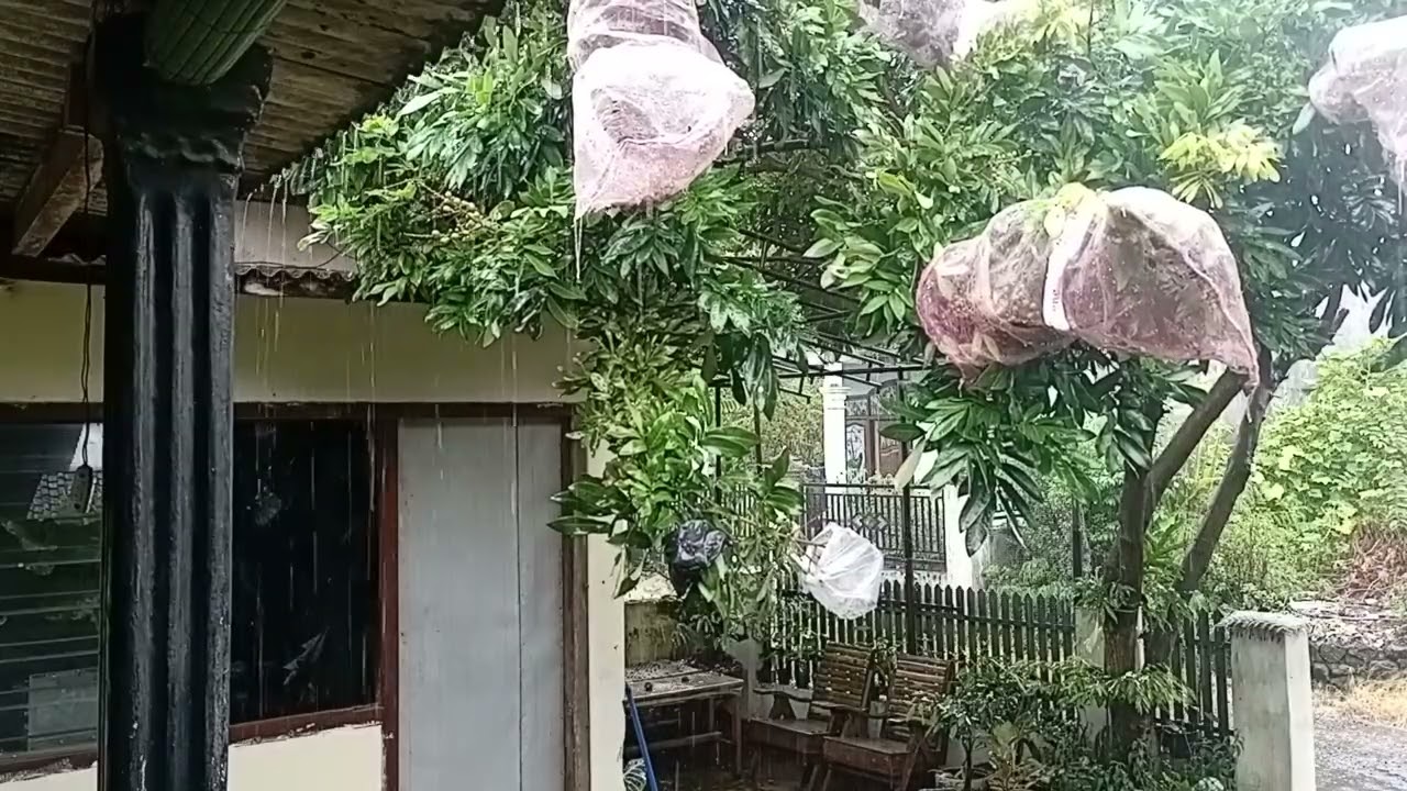 The Sound of Rain on the Terrace