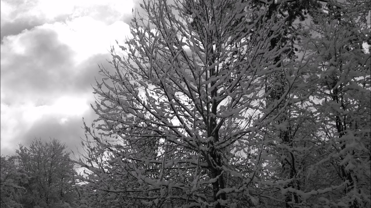 Moments Between Time and Silence