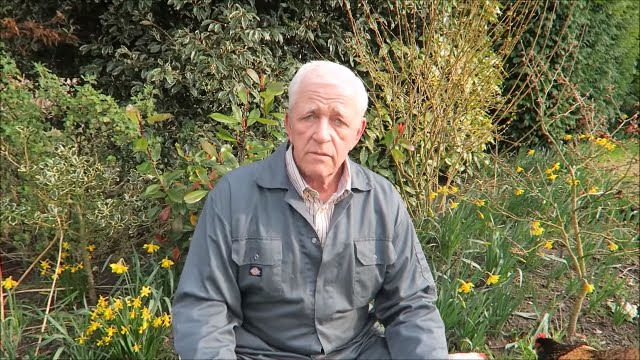 Pest control on fruit trees,setting early potatoes and brassicas