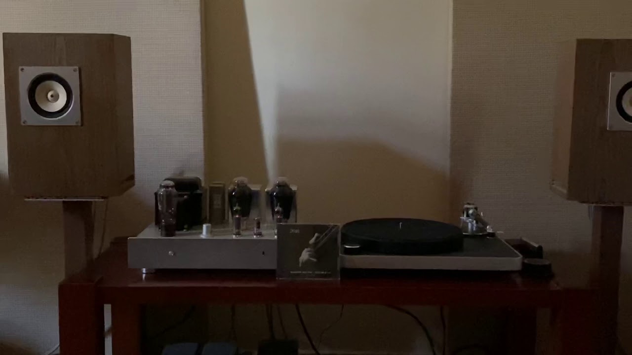Fostex FE103A & 300B DIY play Symphony