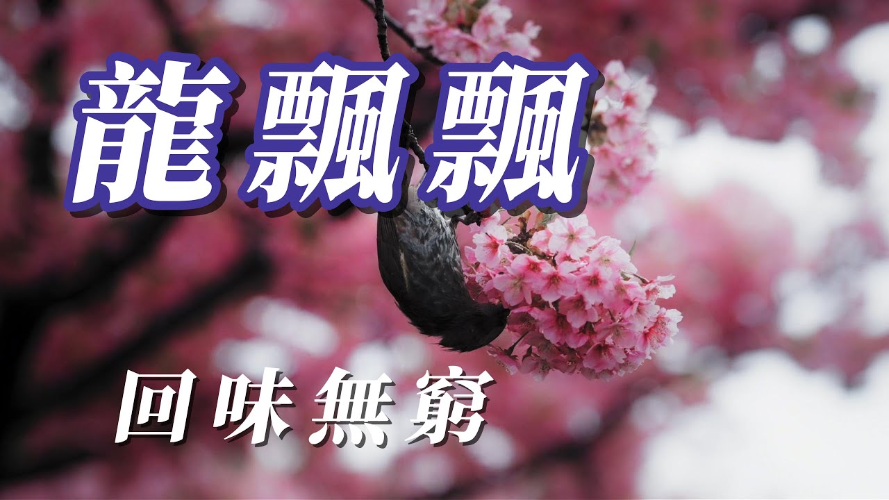 （龍飄飄）回味無窮（精挑細選）謝謝朋友