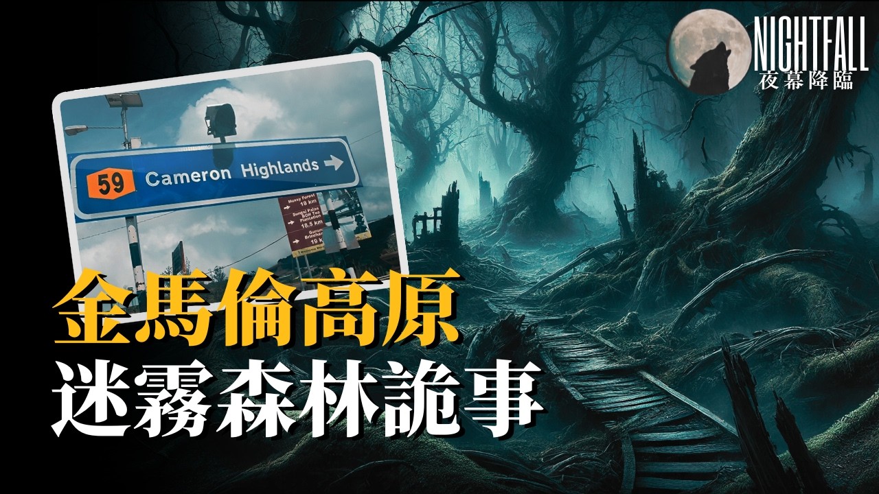 如童話般的金馬倫迷霧森林，為何當地人卻避而遠之...... | 夜幕降臨 NightFall
