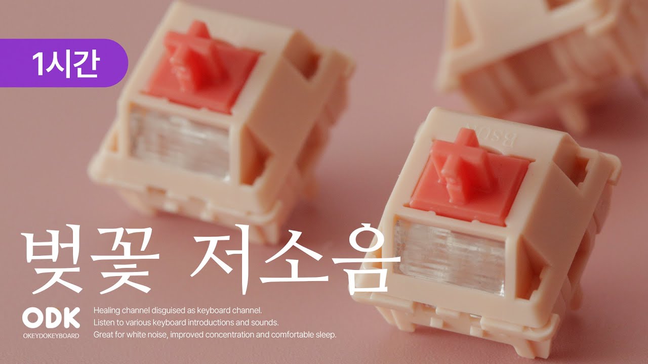 BSUN 벚꽃 저소음