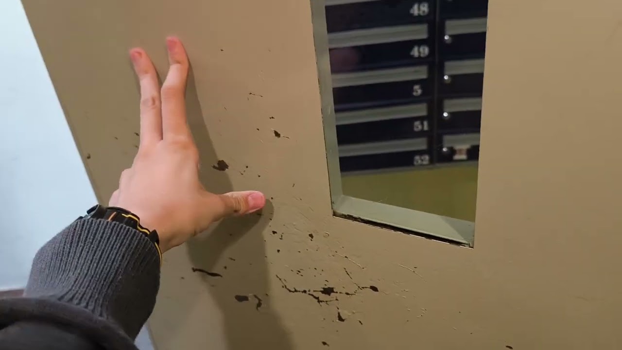 2x Winda Zremb Odważnikowy zm. przez Elszyk Morska 11 Gdynia