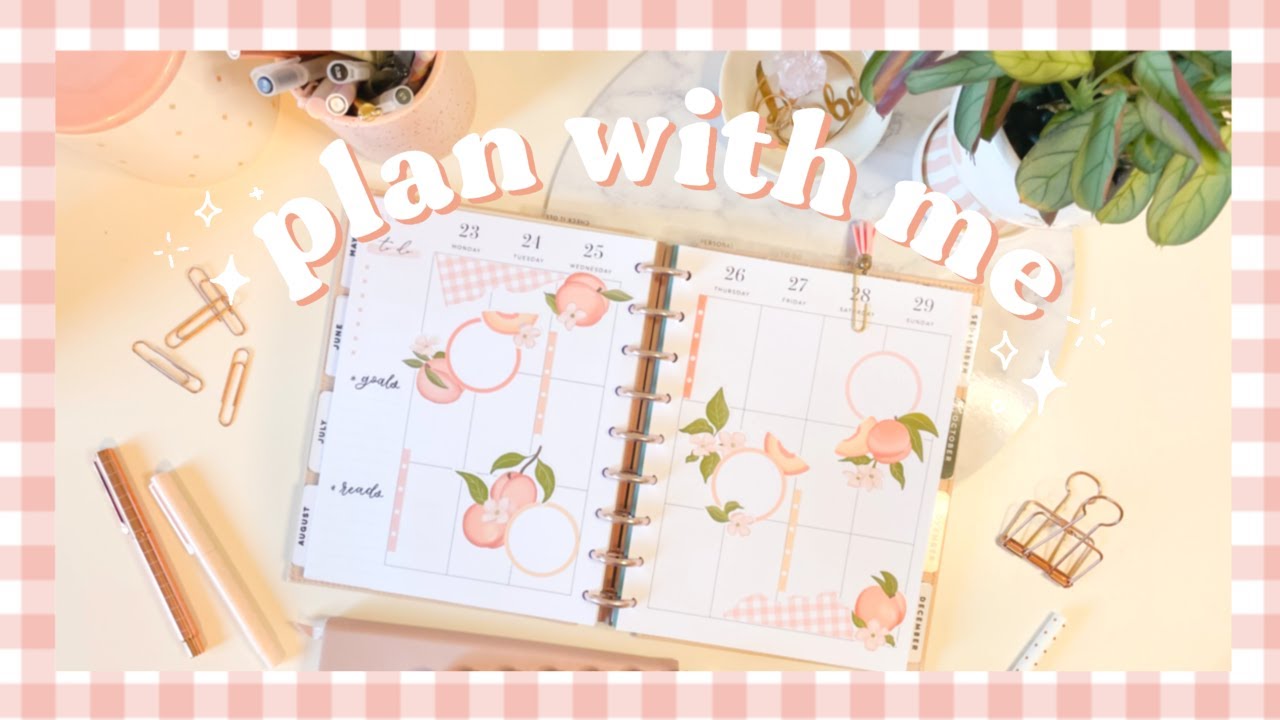 plan with me: sweet peaches 🍑 (classic vertical happy planner layout)