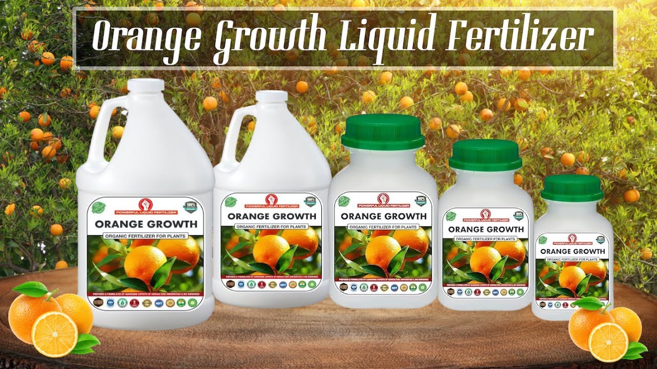 Erwon Orange Growth Organic Liquid Fertilizer for Maximising & Bigger Fruits संतरा/नारंगी फल के लिए