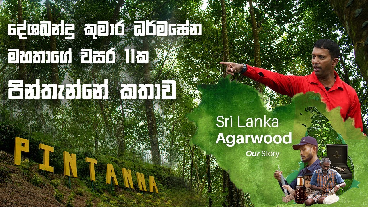 අගාවුඩ් පෙරලිකරුගේ වංශ කතාව