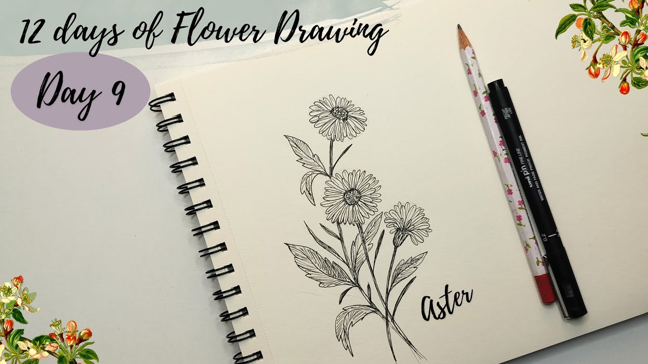 How to draw flowers - Day 9. Aster flower drawing tutorial for beginners.