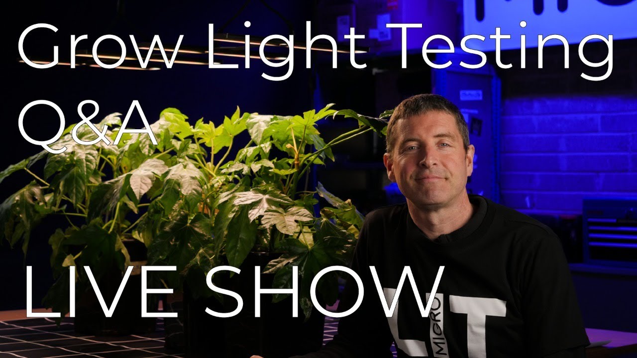 Grow light testing Live show Q&A