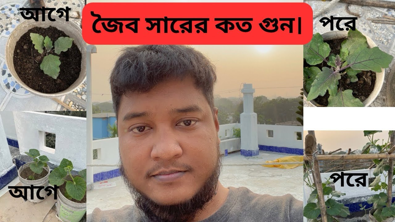 জৈব সারের কি গুণ।এক সপ্তাহে গাছের গ্রোথ কত হইছে। 