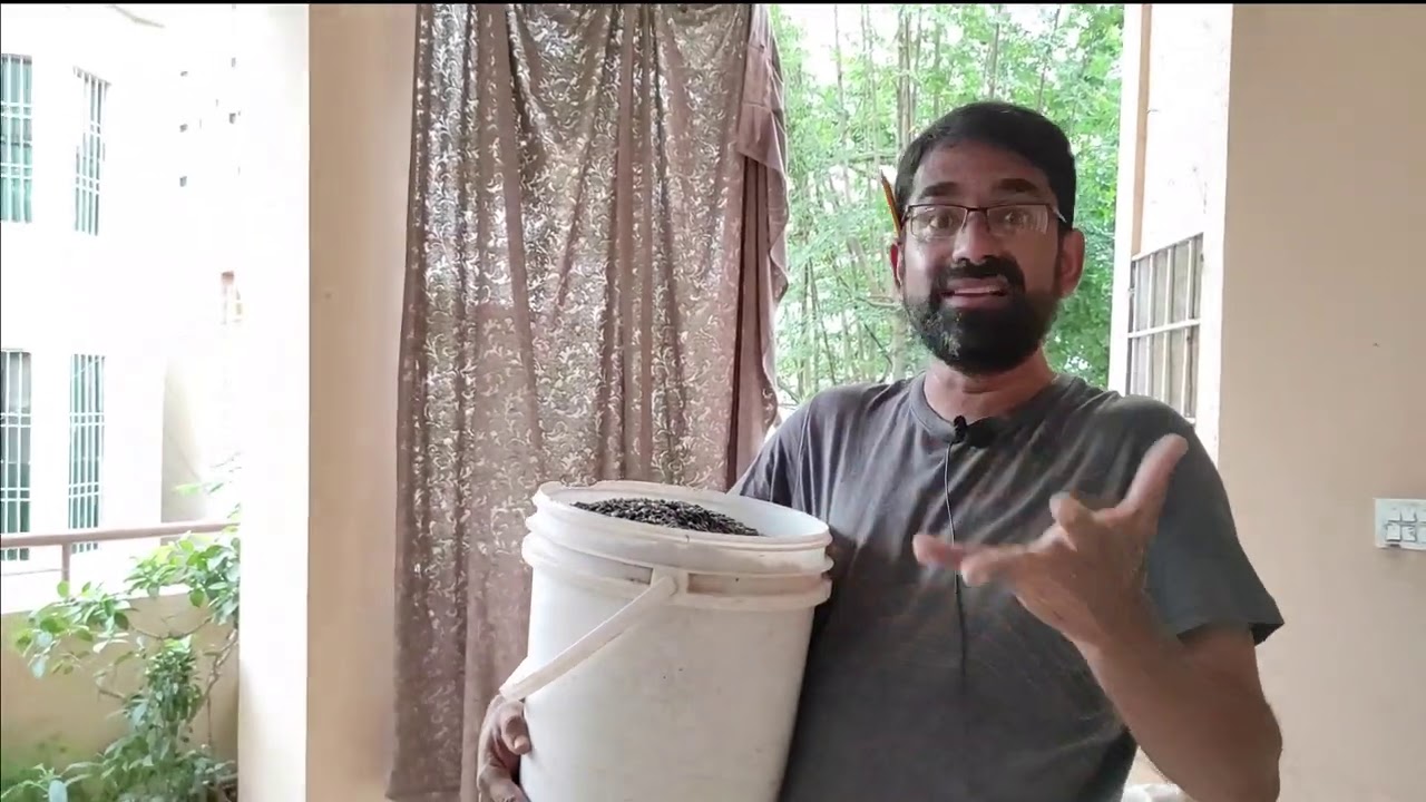 Best Composition Of Mix Seed For LoveBird For Starting New Season