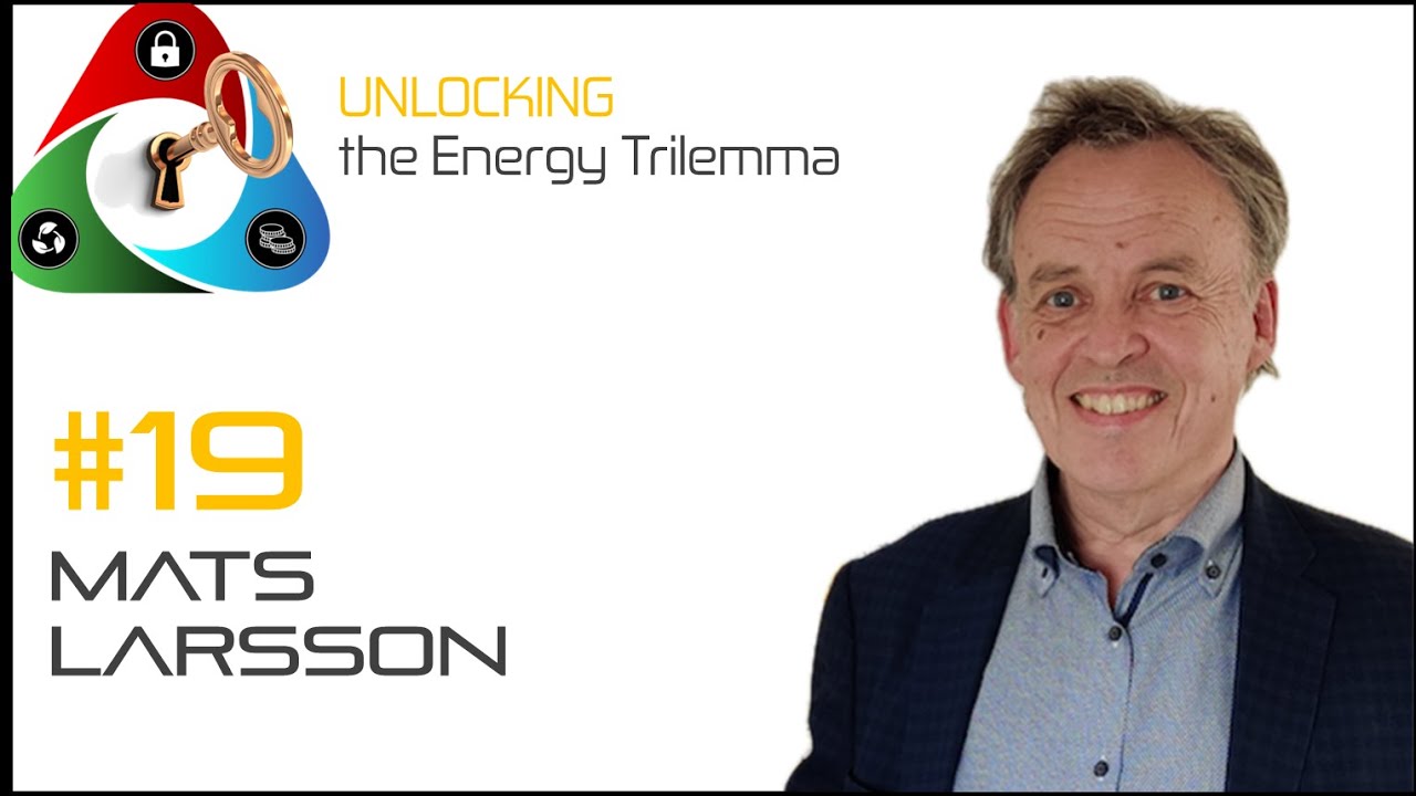 019 - Electromobility at a Crossroads