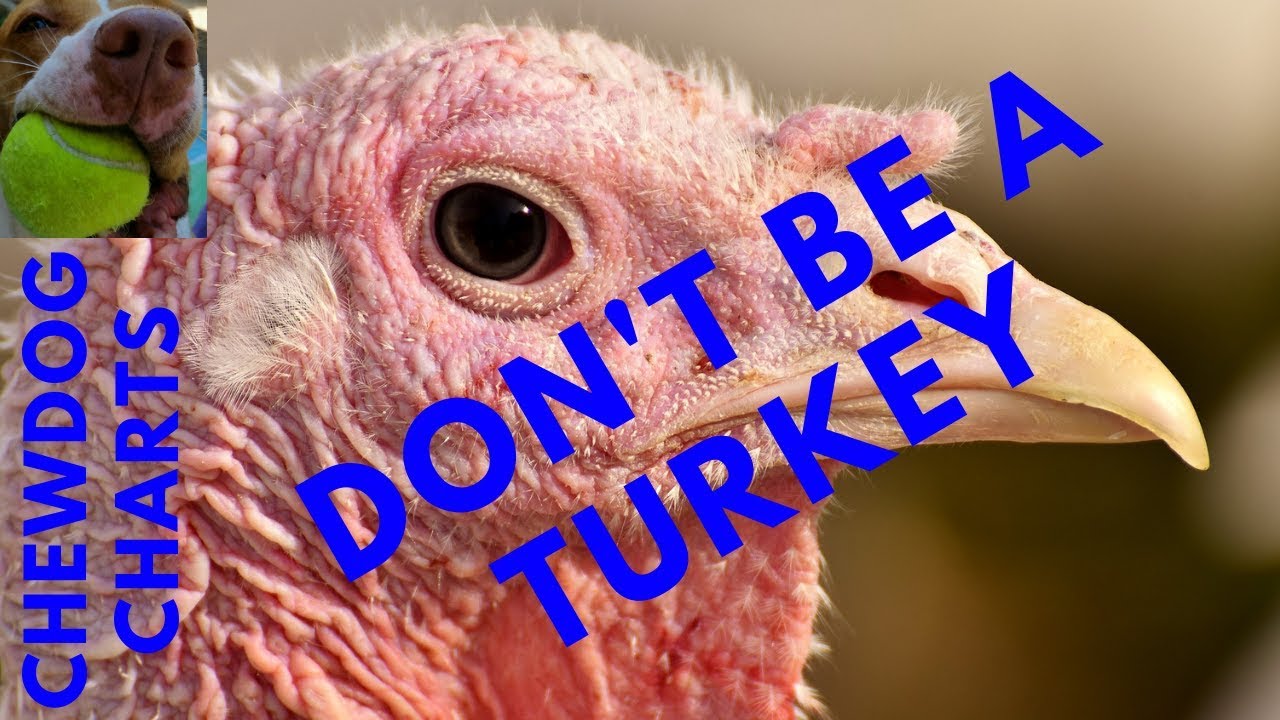 Don't Be A Stock Market Turkey