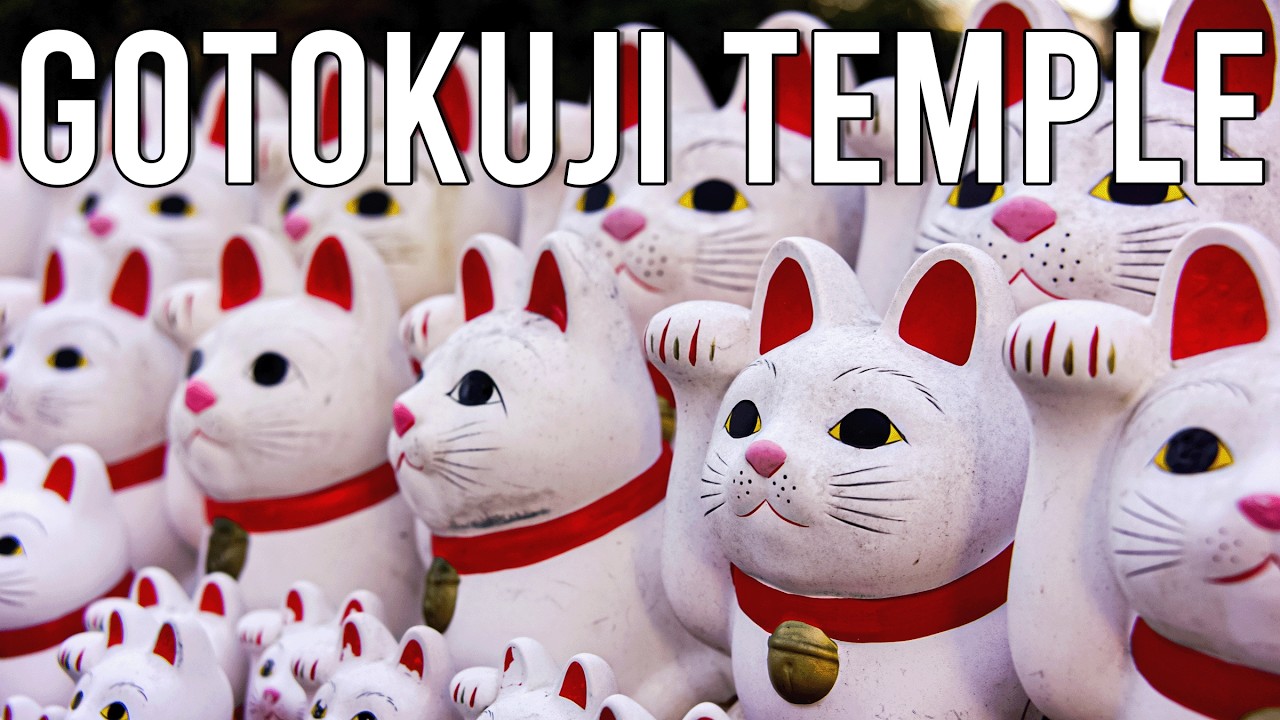We Visited The Lucky Cat Shrine | Gotokuji Temple