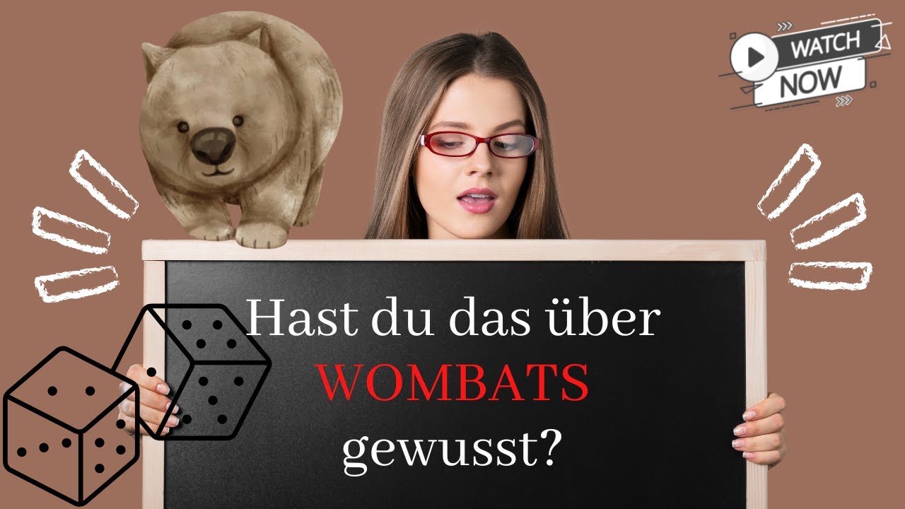 Stimmt es, dass Wombats W&uuml;rfel kacken?😳