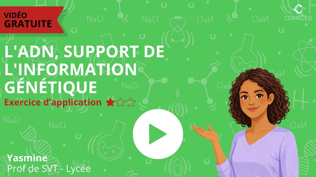 SVT 2de/Ex difficulté ⭐ Ch2 : L’ADN, support de l’information génétique