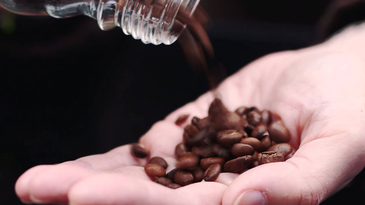 Identifying Food Fraud | UEA's Free Online Course