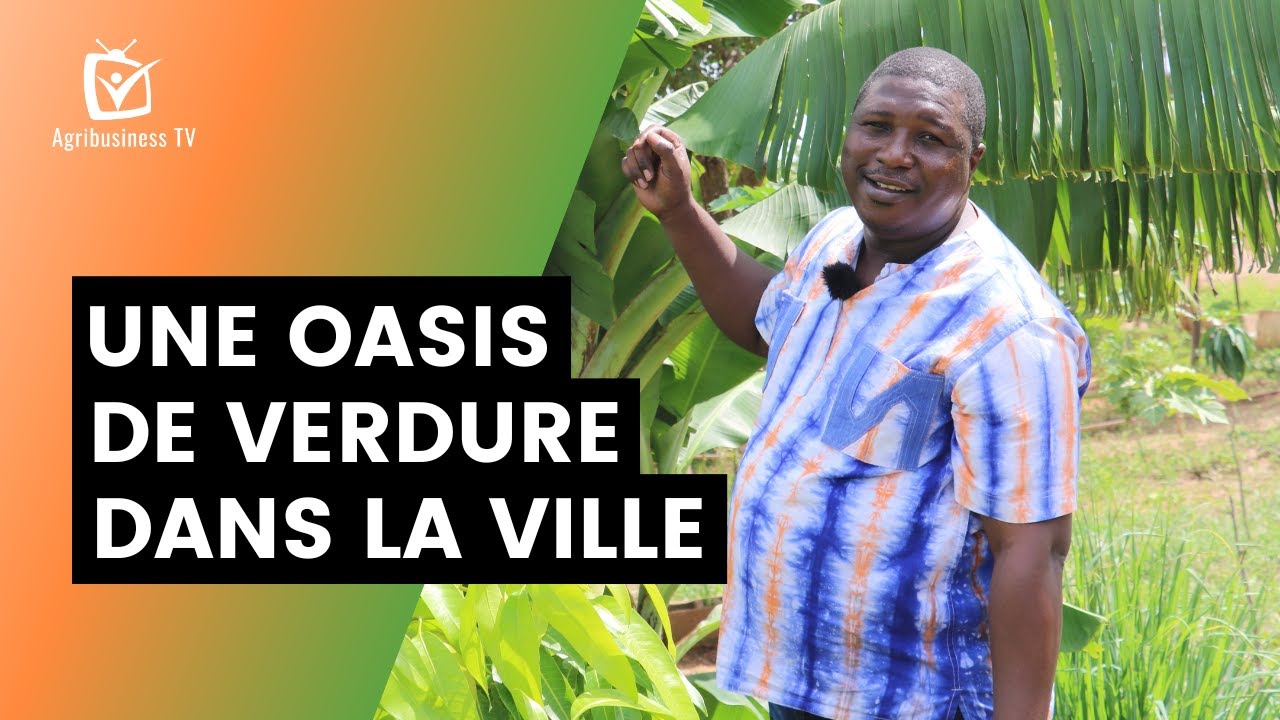 Burkina Faso : Une oasis de verdure dans la ville