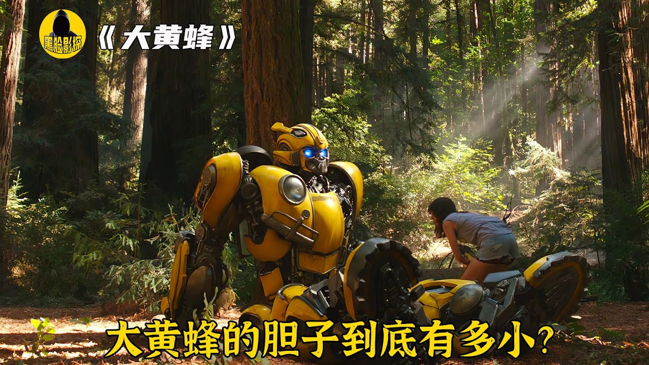 女孩撿了一輛二手車，帶回家卻變成了變形金剛，智商和小孩差不多 #大黃蜂 #變形金剛