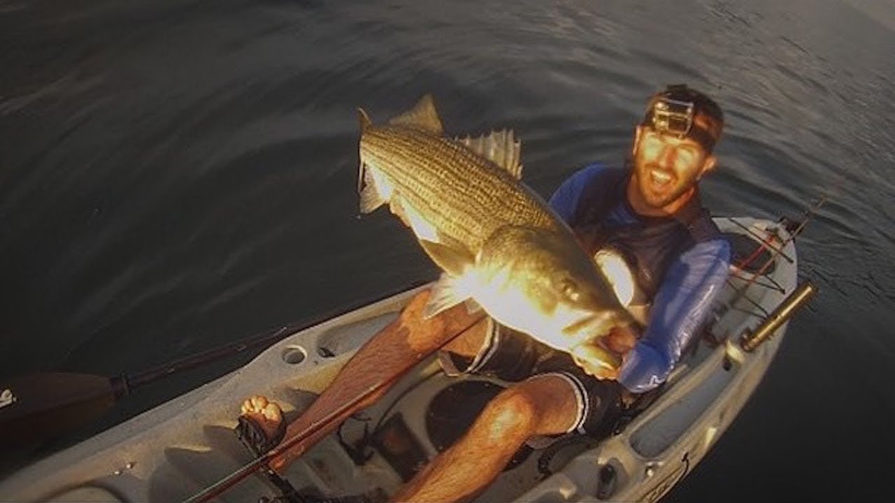 Cape Cod Fly Fishing for 40 Pound Striped Bass! [full video]