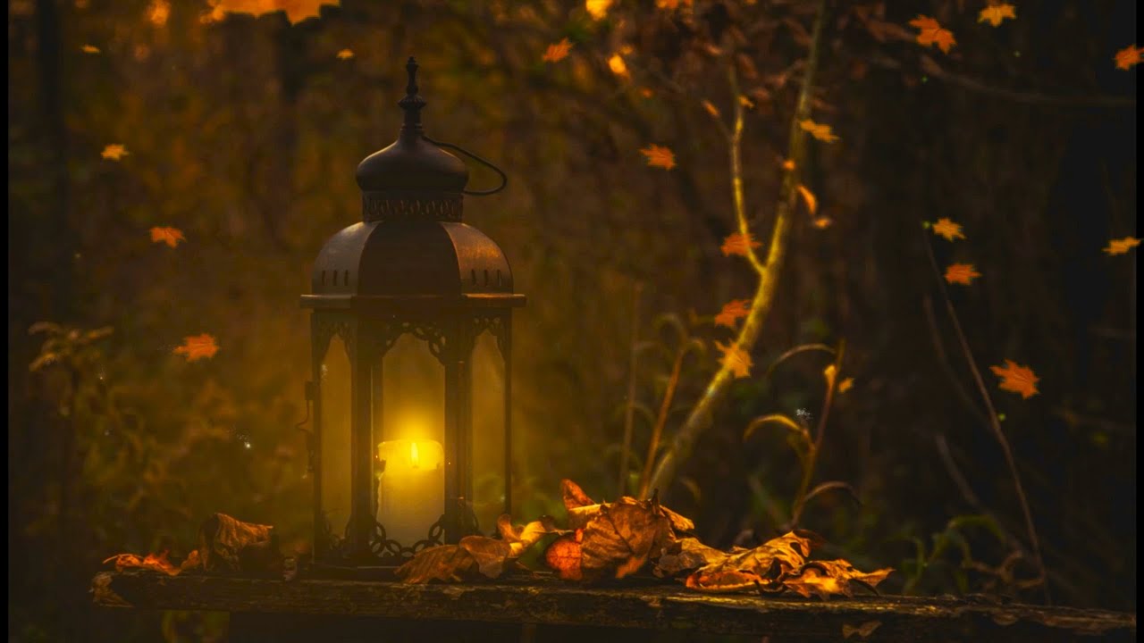 ASMR Ambience 🍂 Autumn Candle (wind, owls, crickets, rustling leaves)