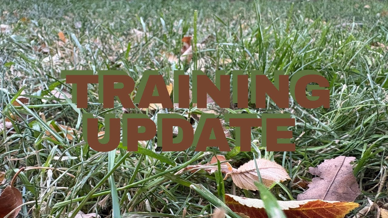 Pre-Race Training Update!