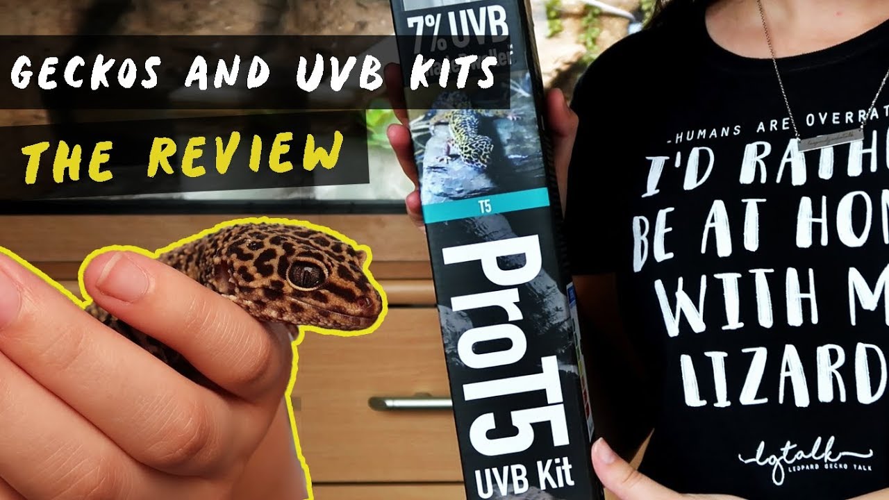 What UV System Do I Use?! - Arcadia Reptile's ProT5 Kit!