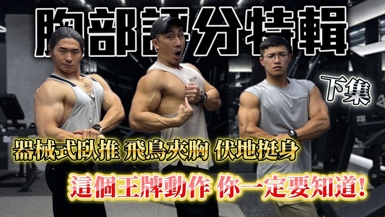 【楷教練之訓練動作評分系列】│胸部篇下集 器械式臥推 飛鳥夾胸 伏地挺身│這台器械臥推一致認為Ｓ！│找到適合自己身體結構適合的動作│！  feat. 小畫家Ting、馬克MARK