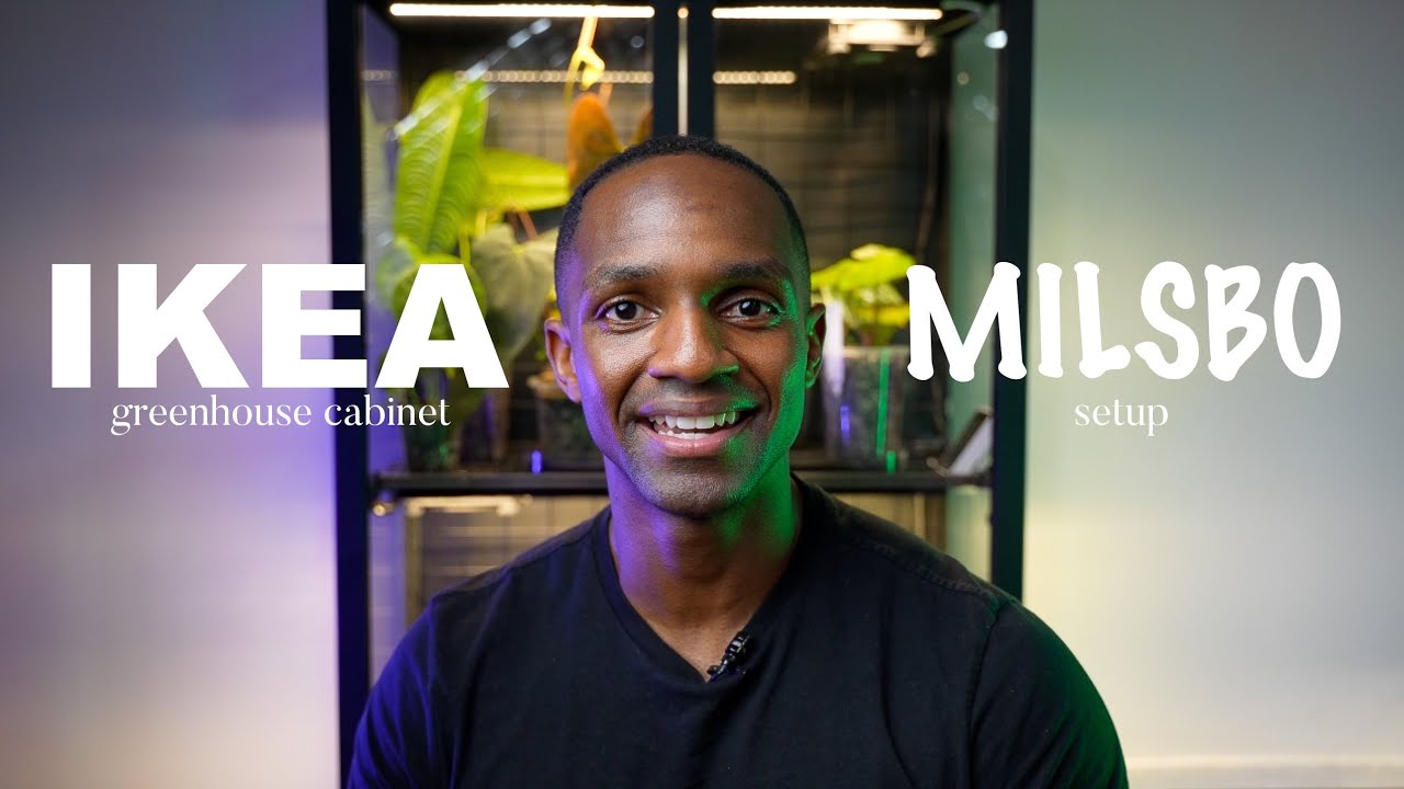 Setting up my IKEA “MILSBO” Greenhouse cabinet | New home for ANTHURIUM 🌱🤌🏾