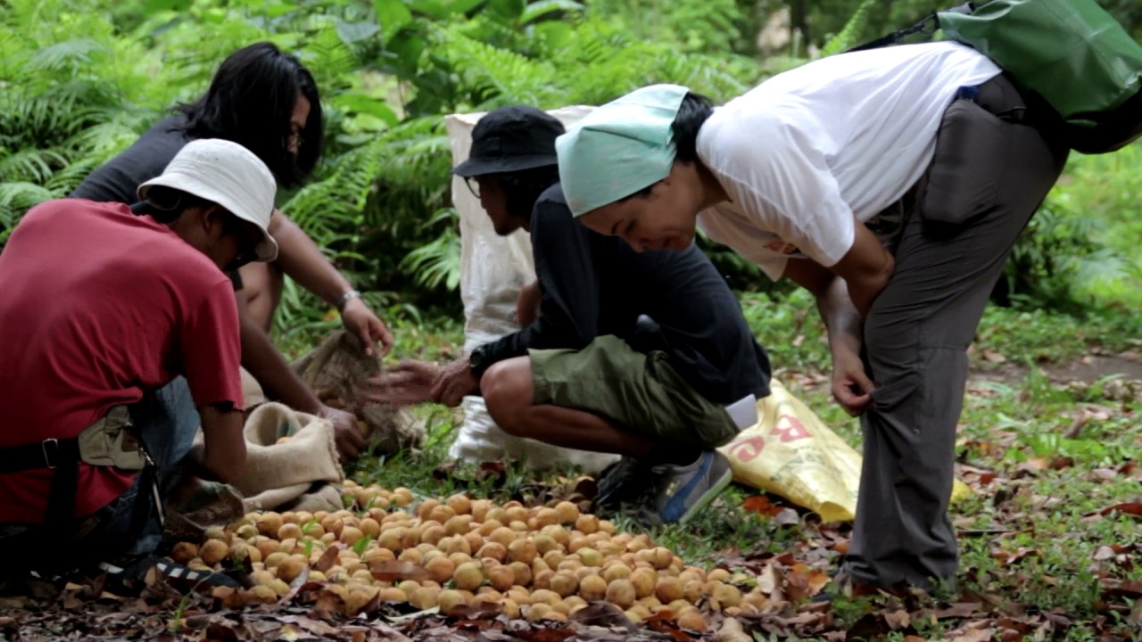 Di Balik Pembuatan Film Banda The Dark Forgotten Trail